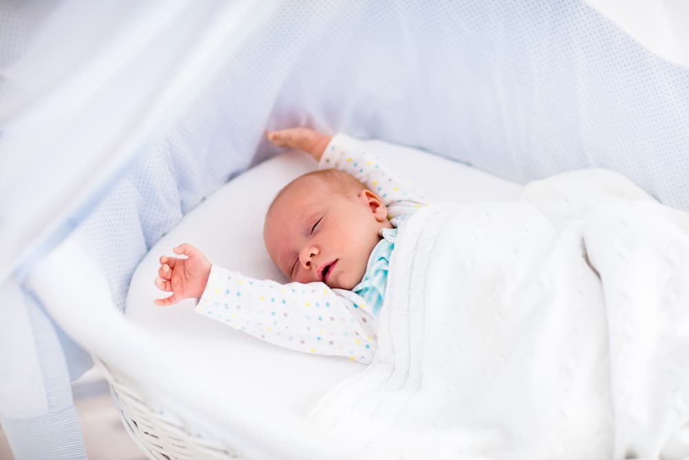 bebê dormindo no moisés