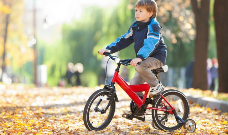 como escolher as melhores bicicletas