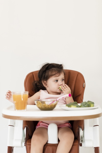 Qual a Melhor Cadeira de Alimentação para Bebê?