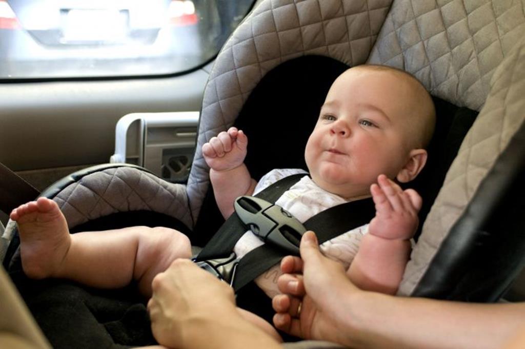 melhores bebês confortos