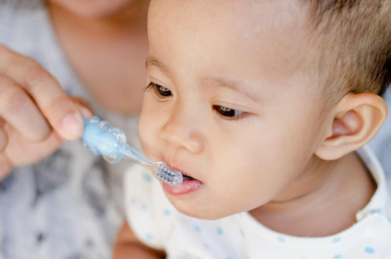 dicas para escolher o melhore creme dental