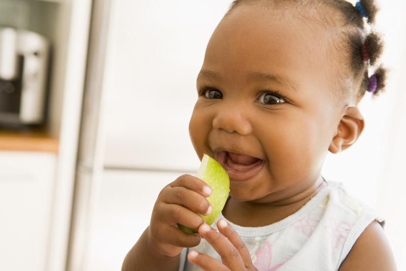 como montar um cardápio para bebes